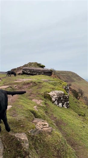 The Cats Back (part 2)