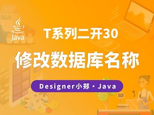 T二开30：如何修改项目数据库名称？