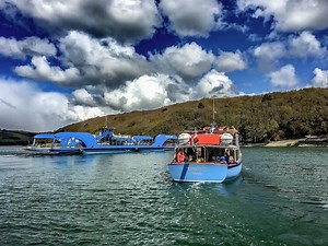 FAQs - Fal Mussel Card Visitor