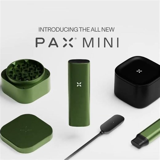 pax mini