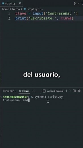 Pedir Contraseñas en Python 🔐 #python #programacion #password #claves #programación #trecno