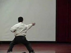 DH_DaBaji_2002