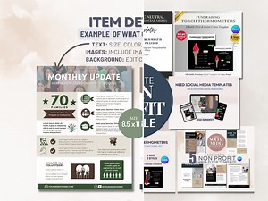 Non Profit One Pager Bundle Editable Template Infographic Fundraiser Template Volunteer Email Marketing Newsletter Flyer Digital Download - Etsy