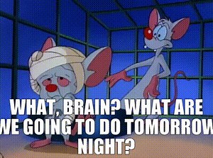 WHAT, BRAIN? WHAT ARE WE GOING TO DO TOMORROW NIGHT?