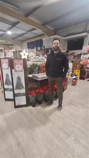Fiver Friday is HERE! 🎉 First up… a massive deal on our 7ft Windham Christmas Tree — was €200, now ONLY €100! 😍✨ Hurry… we’ve just 3 left! 🎁 *NCW Only* And for Fiver Friday… Our His & Hers Highland Cow’s are ONLY €5 each — today only and exclusively in our Newcastle West store! 🐂❤️ These won’t last long… run, don’t walk! 🏃‍♀️🔥 | Tadhg O'Connor Hardware - Topline