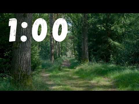 1 Minute Classroom Timer | Forest Theme | No Music | Quiet Alarm