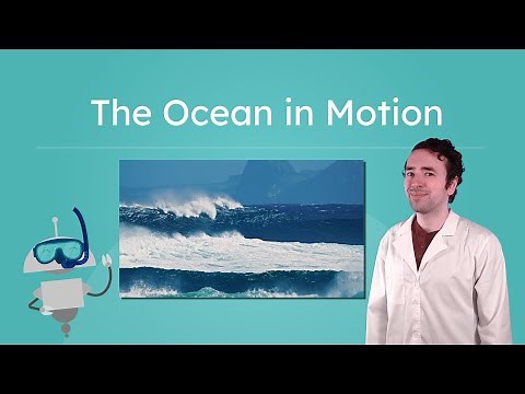 The Ocean in Motion - Tides, Waves, and Currents!