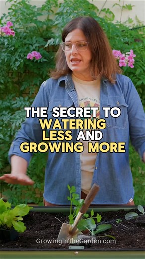 Ollas in my elevated bed: I’m using three medium terra cotta ollas. The clay lets moisture seep out as the soil needs it. It’s an easy way to water garden beds without drip lines. Want the link to my favorite ollas? Comment send and I’ll DM it to you. #Ollas #WaterWiseGardening #ElevatedBeds #ContainerGarden #DesertGardening #ArizonaGardening #SelfWatering #SoilMoisture #GardenHacks https://growoya.com/growing | Growing in the Garden