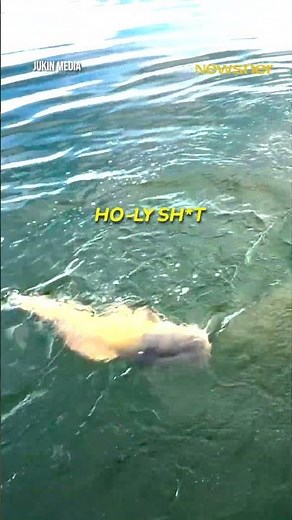 He almost lost his hand!😱 #fishing #scary #shorts