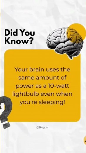 Mind-Blowing Brain Facts You Never Heard! 🤯 #DidYouKnow #biology