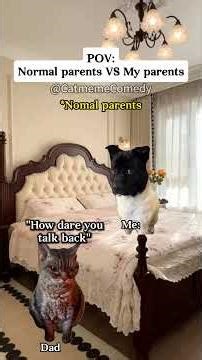 Cat meme Comedy😺Normal parents VS My parents #catmemes #relatable #relationship