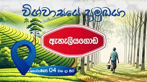 4K views · 55 reactions | People's Leasing & Finance PLC on Reels | Facebook