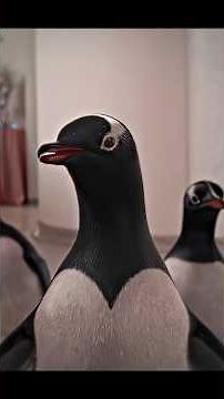 🎬JIM CARREY VS 6 PENGUINS! 🐧❄️ The Most Wholesome Chaos Ever #edit #movie #shorts