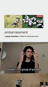 91K views · 586 reactions | Did you know this??? . . . . . . . . . #panda #funnyreel #comedy #meme #memes #facts #animals #pandas | introvertsmindset | Facebook