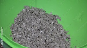 Making natural vegetable oil from sunflower seeds at home. Completely natural products. Stock Video