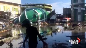 Clean-up efforts underway after Indonesia hit with devastating earthquake and tsunami