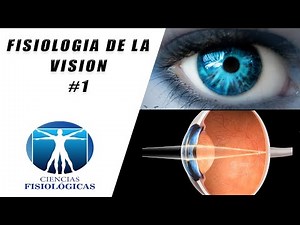 Fisiologia de la Vision #1