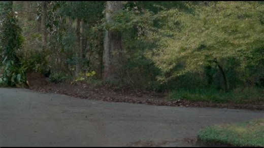 Geralds.Game.2017.WEB-DL.1080p.DUAL.H.264-HDM