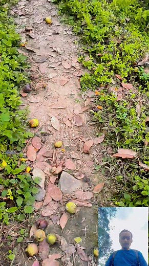 Dhap village... | Birkha Man Rai