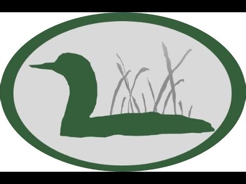 Lake Kanasatka LoonCam Live 2026