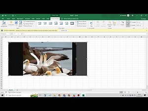 Cara Crop / Memotong Gambar Di Microsoft Excel