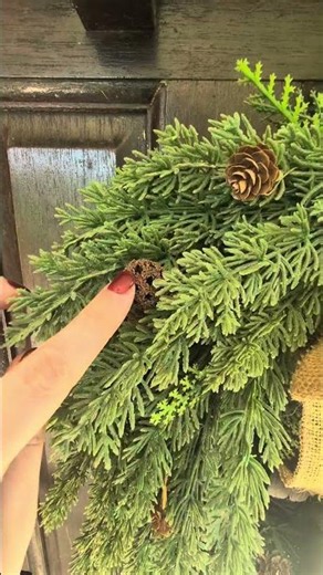 Review of 21-Inch Cypress Wreath.