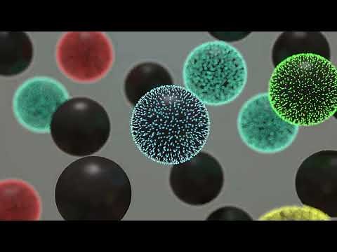 BD Rhapsody™ HT Single-Cell System