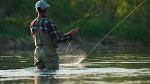 Fly fishing. Man fly fishing on the wild river with lots of insects flying in the air