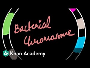 lac operon | Molecular Basis of Inheritance | Biology | Khan Academy
