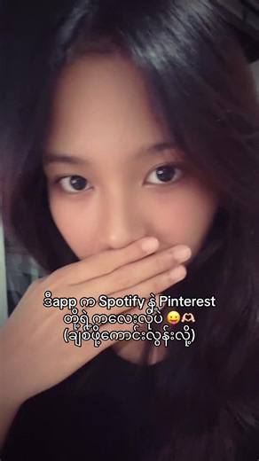 Burmese Shelf App Review: Features & Tips