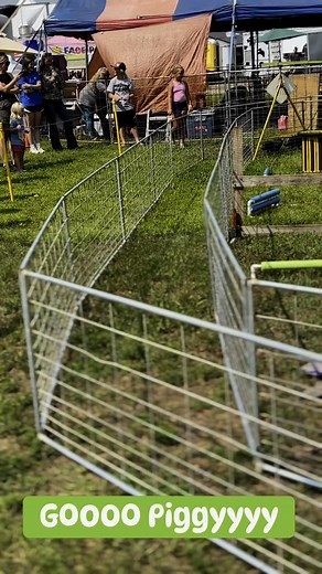 Who you think will win tomorrow? Don’t miss your chance to see the piggies run. Thursday @ 1:00pm, 3:00pm, & 5:30pm | Wabasha County Fair