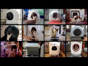 All the GOOD and BAD about SELF-CLEANING Litter Boxes