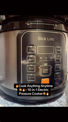 10-in-1 Electric Pressure Cooker: Cook Anything Easily