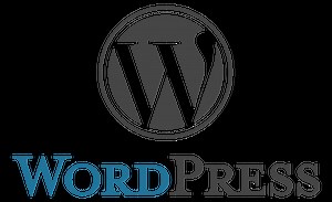 WordPress ビジュアルエディタのタグの入り方