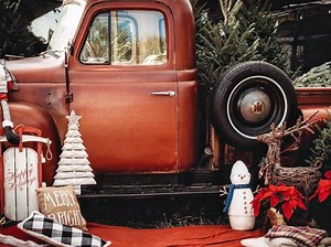 Where To Get A Live Christmas Tree In Clearwater