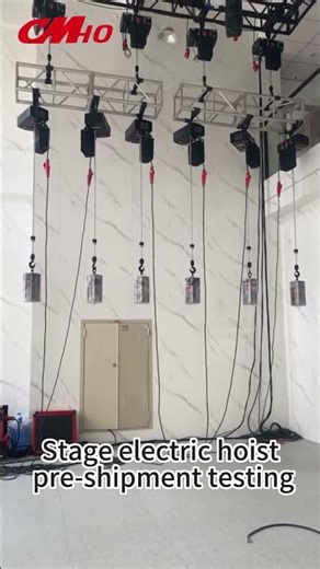 W12 Stage Electric Hoist Factory Acceptance Test