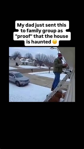 terrified vids | Ladders are one of the most deceptively dangerous tools people use every day. In the U.S. alone, ladder falls send more than 130,000 people... | Instagram