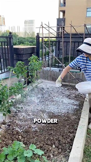 6.2K views · 101 reactions | Chinese agriculture farming technique to grow plants faster and double their harvest #chinese #technique #agriculture #farming #reelsvideoシ | Lee Yumi | Facebook