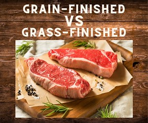 BEEF: Grain finished or Grass-finished..... which is better? There is SO MUCH controversy around this subject and there are a LOT of things to take into consideration. Most of the beef available in grocery stores and restaurants is grain-finished. Why? Grain-finished beef is faster to produce and these animals generally have a significantly higher fat content, which is the coveted marbling that a lot of people desire in their steaks for its amazing flavor. What exactly does grain-finished mean?