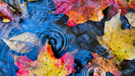 Up to 10 inches of rain expected in Washington this week. Where will rain fall? See why