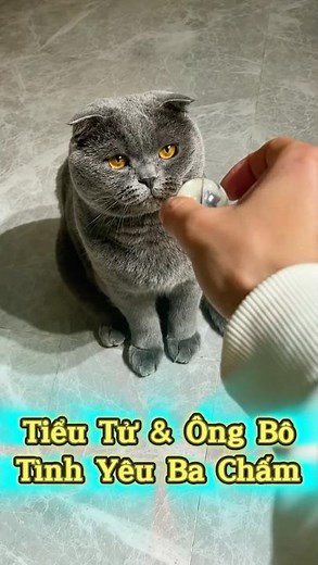 Tiểu Tử & Ông Bô Tình Yêu Ba Chấm