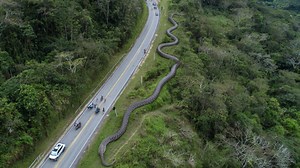 636K views · 6.6K reactions | SCARY Giant Snake Sightings Scientists Cannot Explain #titanoboa #snake | Most Amazing Top 10 | Facebook