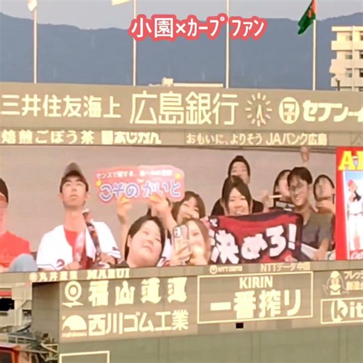 20260715 報道の翌日にもかかわらず、#小園海斗 を応援するｶｰﾌﾟﾌｧﾝに感心 #shorts@MAZDA Zoom-Zoom ｽﾀｼﾞｱﾑ広島･ﾋﾞｼﾞﾀｰﾊﾟﾌｫｰﾏﾝｽ