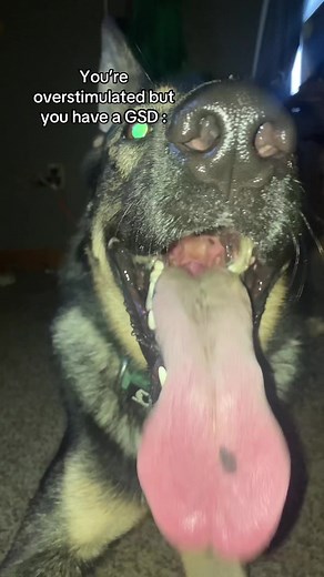 GSD: Overstimulation and High Drive Energy