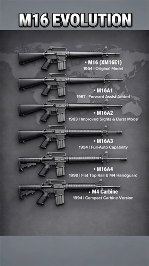 M16 Evolution Explained | Military Rifle Timeline