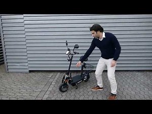E-Scooter Buzzard, Straßenzulassung, herausnehmbarer Lithium-Akku, Elektroroller, klappbar, Camping
