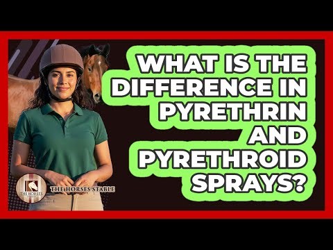 What Is The Difference In Pyrethrin And Pyrethroid Sprays?