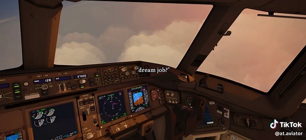 Exploring the Dream Job of a Pilot in Aviation