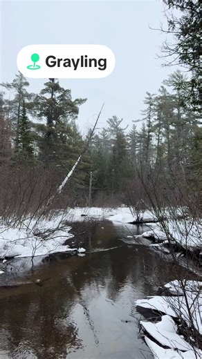 Discover Winter Bliss in Grayling, Michigan