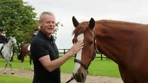 113K views · 226 reactions | With public liability insurance up to £30 million, expert legal advice and access to world-renowned education and qualifications why not join us today?  | British Horse Society | Facebook